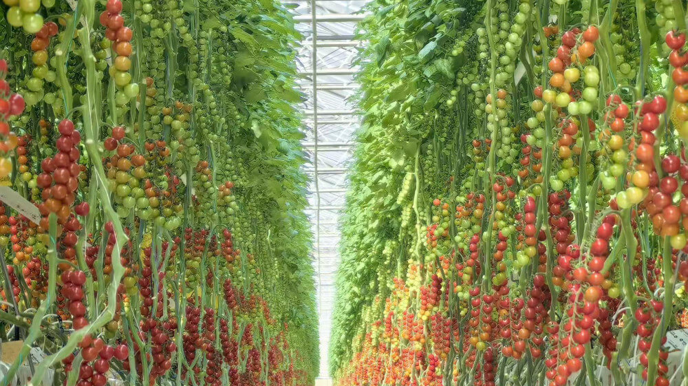 haoyuchina[3].jpg